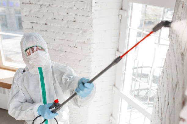 Best Biohazard Mold Removal  in Jefferson, TX